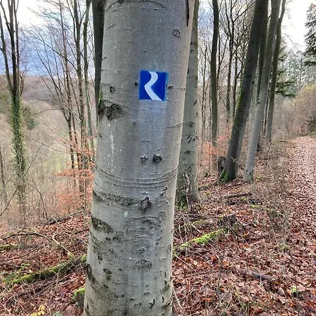 Rheintal-wald-und Weitsicht شقة *