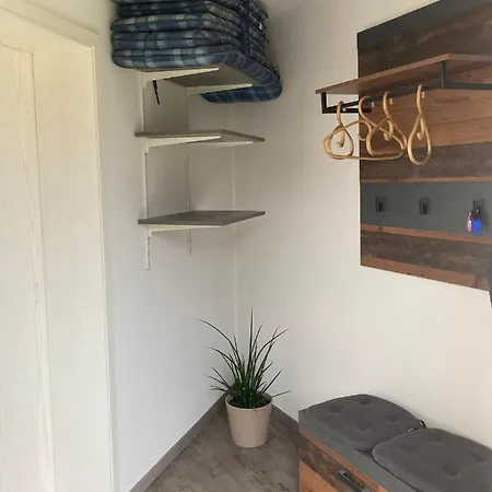 Rheintal-wald-und Weitsicht