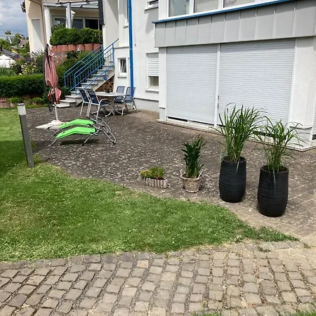 Rheintal-wald-und Weitsicht *