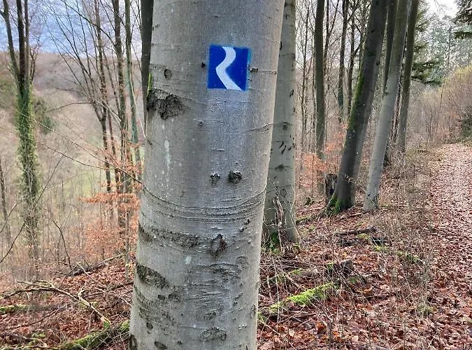 Rheintal-wald-und Weitsicht Apartment *